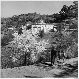 Machairas Monastery across a wooded hillside, with a tree in white blossom in front and two figures on a path
