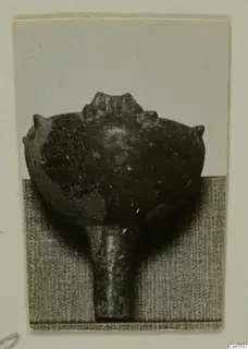 Dark rounded object with knob-like projections on a narrow stem, photographed on grey cloth; find from Cyprus