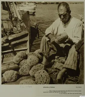 Man seated on a quay at Kyrenia examining a sponge, with a heap of sponges and boats beside him