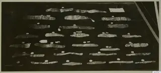 Cyprus Museum jewellery: about thirty thin metal strips laid out in rows on a dark background