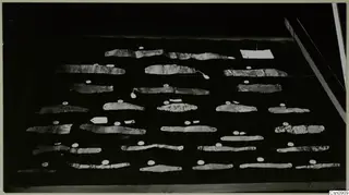 Rows of thin, crumpled strips laid out on a dark tray, with small white tags placed beside several of them