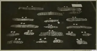 About eighteen thin embossed strips laid out in rows on a dark background, each with small round white labels.