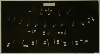 Cyprus Museum jewellery: many small rings, discs and rods, each mounted on a thin wire against a black background.