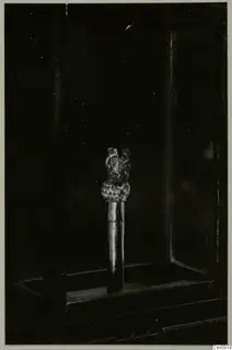 Small pin-like object with a checkered bulbous head and two upright forms on top, shown in a dark glass case