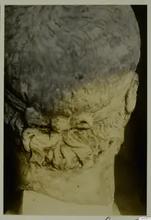 Close view of a carved stone head, with wavy hair at the top and curled beard or moustache carving around the mouth.