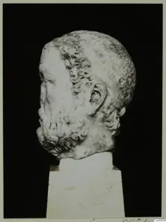 Marble bearded male head on a square pedestal, photographed against a black background.