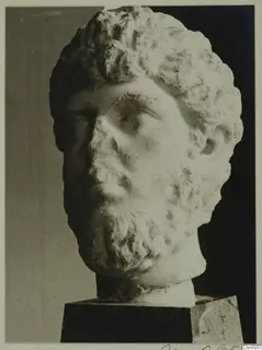 Marble male head with curly hair and full beard, mounted on a dark square base.