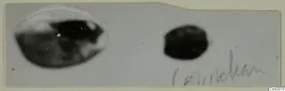 Two small, blurred dark objects on a grey card, one oval and one round, with a handwritten pencil note beneath.