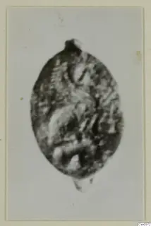 Oval find from Kountoura Trachonia with a small projection at the top and a raised pattern on its surface