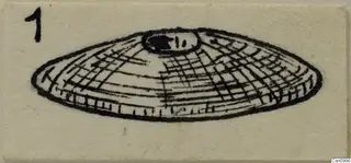 Drawing of a stone button: a flat domed disc with a raised central boss and grid-like lines