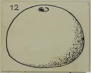 Field drawing of a stone loom weight from Vouni, with a hole near the top