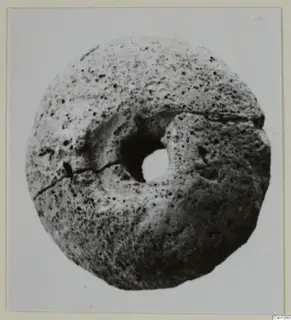 Perforated disc-shaped object with a pitted, porous surface and a large central hole