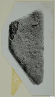 Small find, a wedge-shaped fragment with a rough, pitted surface