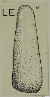 Ink drawing of an elongated, tapering object with a rounded top, with a letter label at upper left.