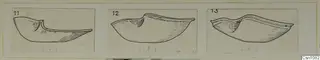 Drawing of three terracotta lamps in profile, each in its own bordered panel on a mount.
