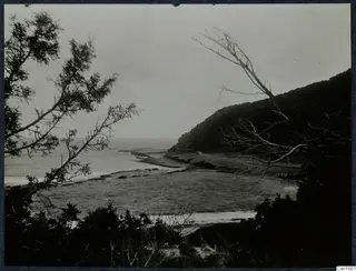 Coastal view at Paradisotissa Loures with open sea, a wooded hill on the right and trees framing the foreground