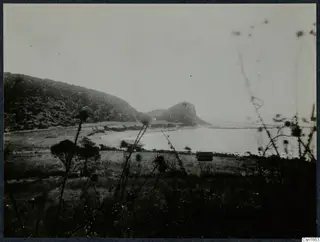 Wooded hills and a bay of water with dry grass and thistle plants in the foreground, at Vouni