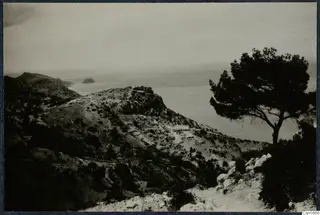 Rocky hills at Vouni falling toward the sea, with a pine tree on the right and a small islet offshore