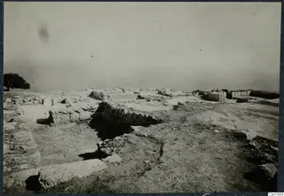 Excavated ruins at the palace at Vouni, with low stone walls and a tree at the left edge.