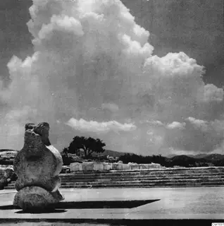 Weathered stone fragment in the foreground, wide stone steps and a tree group at the Vouni palace site