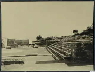 Stone staircase and low walls among ruins at Vouni palace, with a tree and a small building on the hill behind.