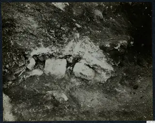 Finds in situ at Cholades, Soli: pale stones and a rounded pale object embedded in excavated earth