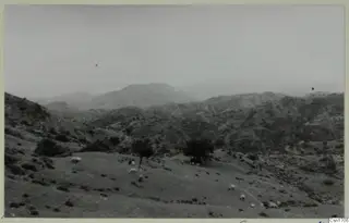 Hilly landscape near Soli with a flat-topped mountain, trees and grazing sheep