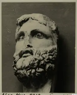 Bust of a bearded man from North Africa, carved in stone, photographed against a dark backdrop.