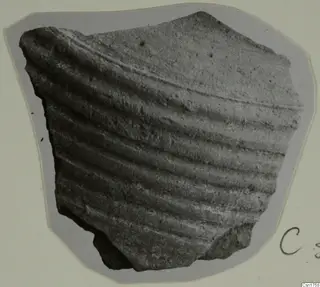 Pottery sherd with deep horizontal ridged grooves on its outer surface, mounted on a grey card.