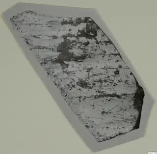 Single pottery sherd, photographed on a grey card mount