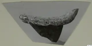 Pottery sherd with a thick, curved upper edge and a roughly broken darker body, shown in side view.