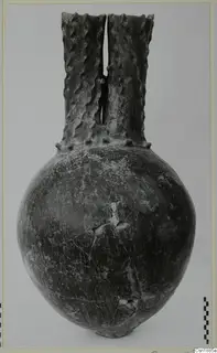 Dark globular vessel with a double-channelled neck and wavy ridges, photographed against a grey backdrop