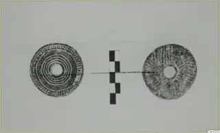 Two flat disc-shaped objects with central holes, one with concentric rings, beside a chequered scale bar.