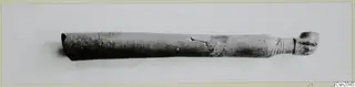 Elongated tubular object with a knobbed end, lying horizontally on a pale background