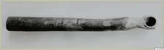 Long dark tubular object with a flared open end, photographed horizontally on a pale grey background.
