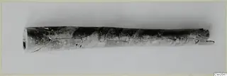 Long tapering tubular object with an open hollow end, lying horizontally