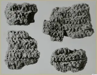 Four corroded fragments of iron weapons from Repno, lying apart on a pale background