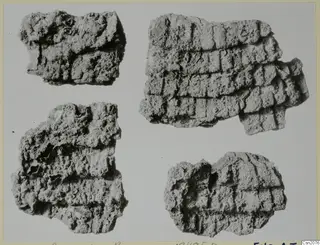 Four encrusted, corroded iron fragments with a grid-like pattern of raised ridges, shown on a light card.