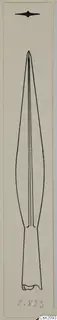 Drawing of an iron weapon with a long leaf-shaped blade and a narrow shank