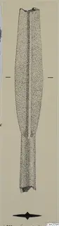 Drawing of an iron weapon blade with a central ridge and a narrow tang