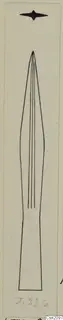 Drawing of an iron weapon with a long, pointed blade and a short rectangular tang at the base