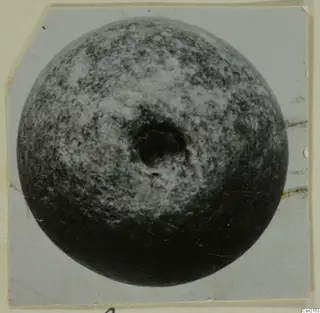 Round object with a central hole, seen from above, mounted on a pale grey card