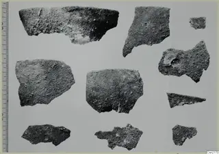 Group of pottery sherds laid out on a pale card, with a measuring scale along the left edge.