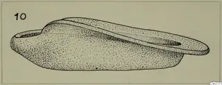Pen and stipple drawing of a metal lamp in side view, with a long nozzle extending to the right.