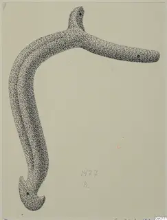Drawing of a bent bronze fragment with a short upturned arm and a hooked, flattened end, shaded in stippled ink.