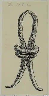 Ink drawing of a bronze object with an upper loop, a coiled middle and two long tapering ends