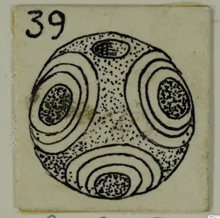 Ink drawing of a round bead with four oval panels of concentric rings around stippled centres