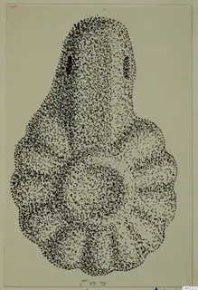 Stippled drawing of a pendant, narrow at the top with two dark marks near the top, broad and lobed below.