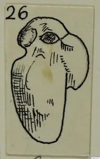 Ink drawing of a small figure-like object with a large almond-shaped eye and hatched shading on one side.