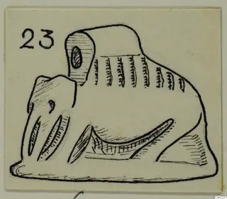 Pen drawing of a small animal figure in profile with long tusk-like projections, with a number label